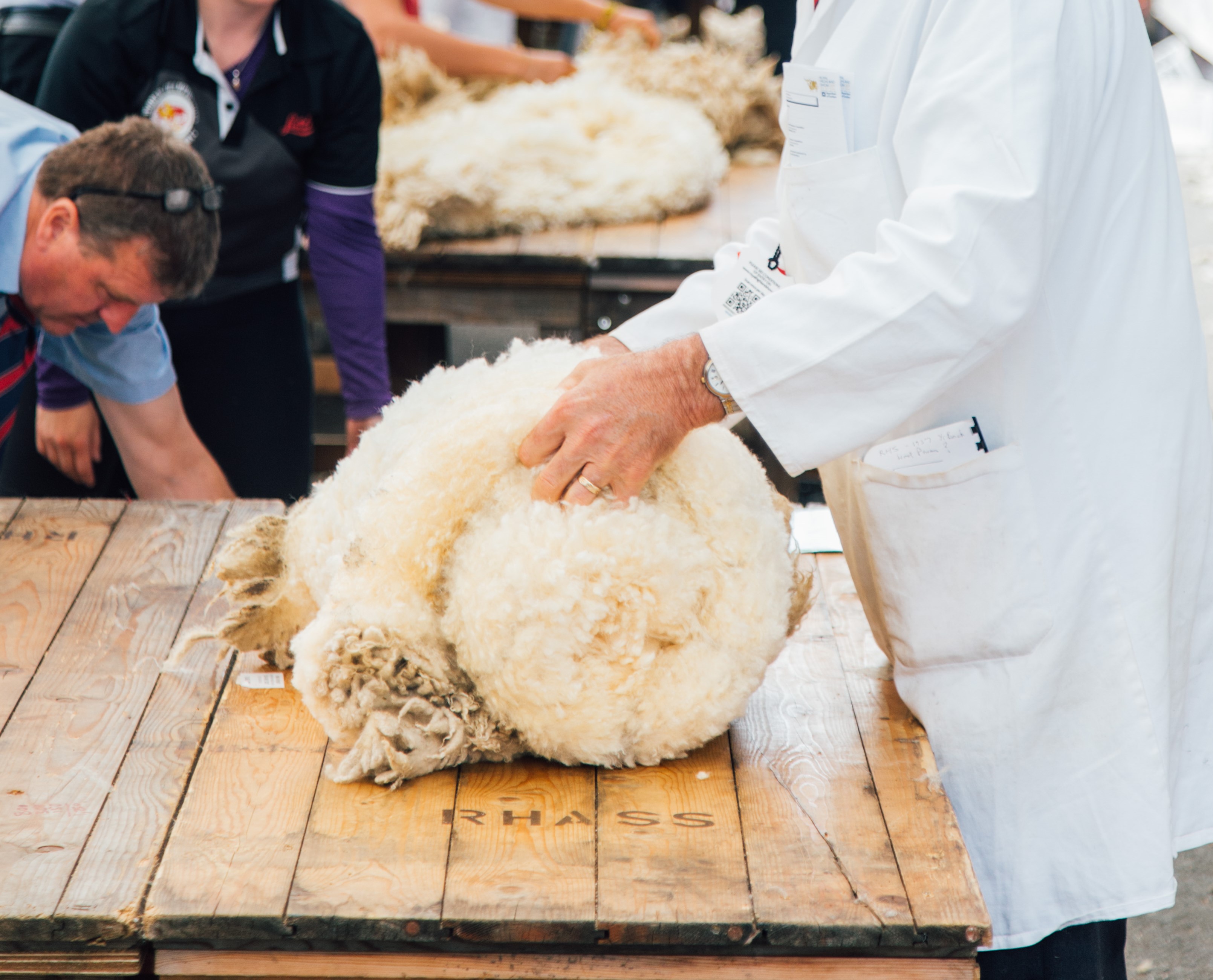 Saturday Royal Highland Show 2019 99 Crop