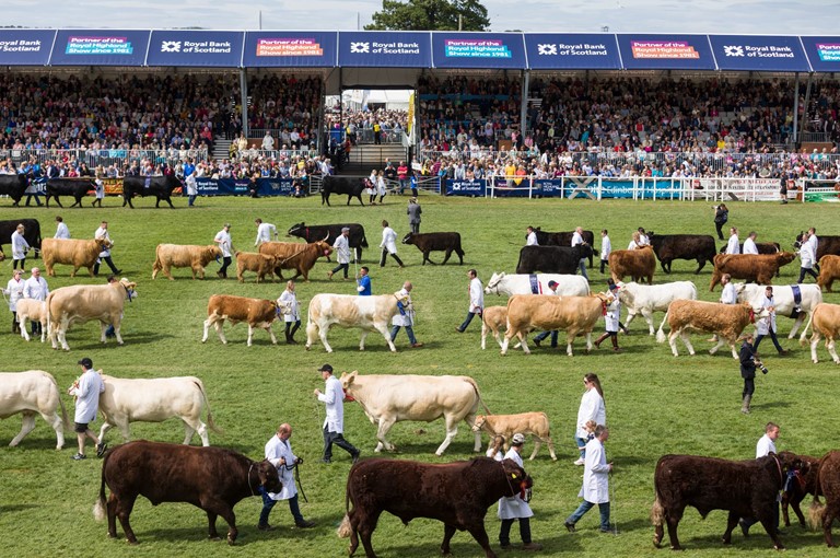 Royal Highland Show reveals livestock and equestrian entry numbers