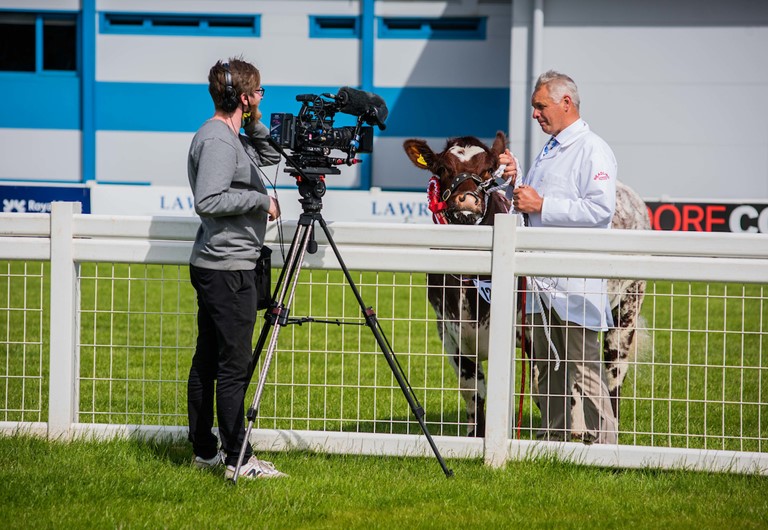 Classes Were Filmed And Broadcast Online At Last Year's Royal Highland Showcase (1)