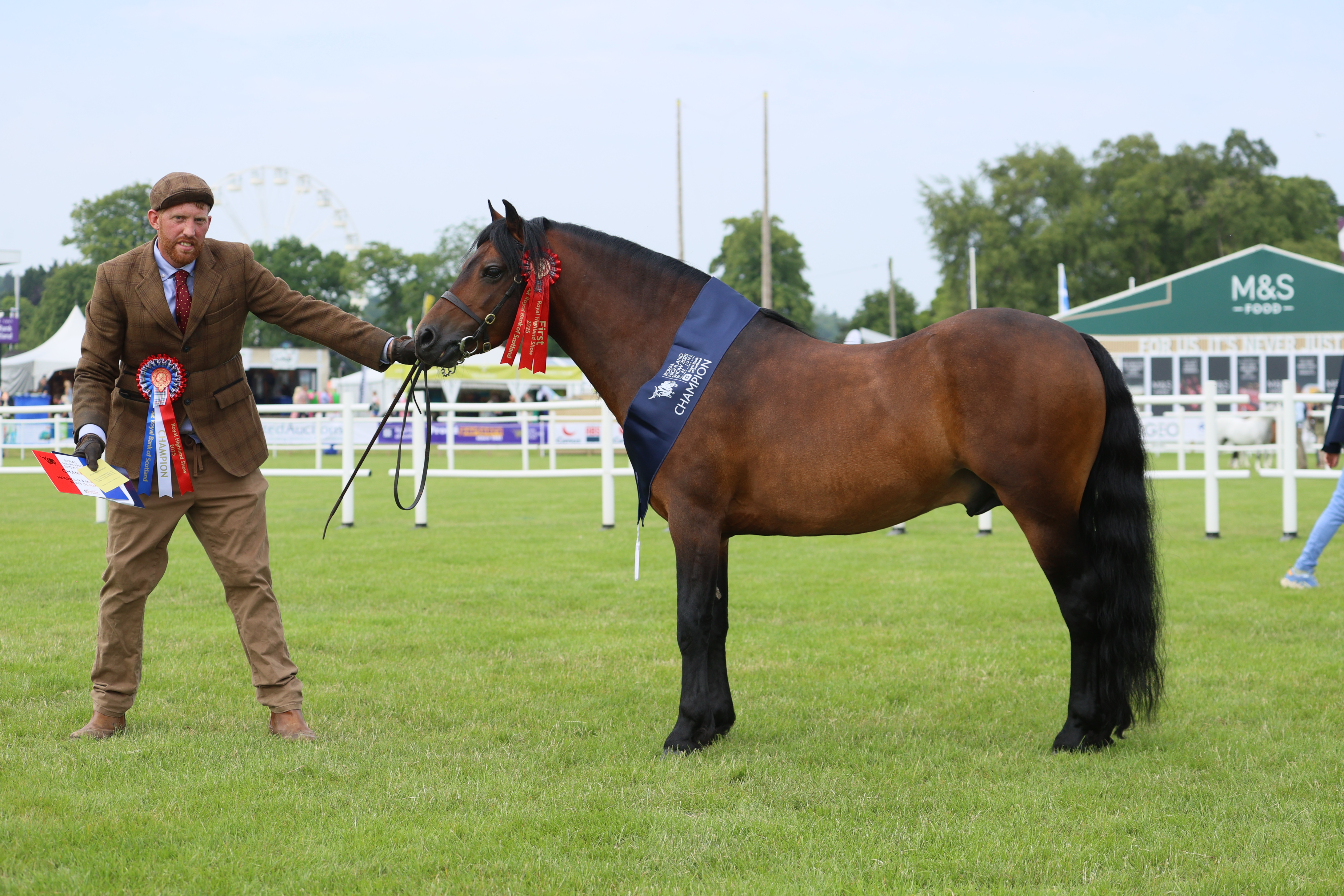 M&M Small Breeds C51 2585