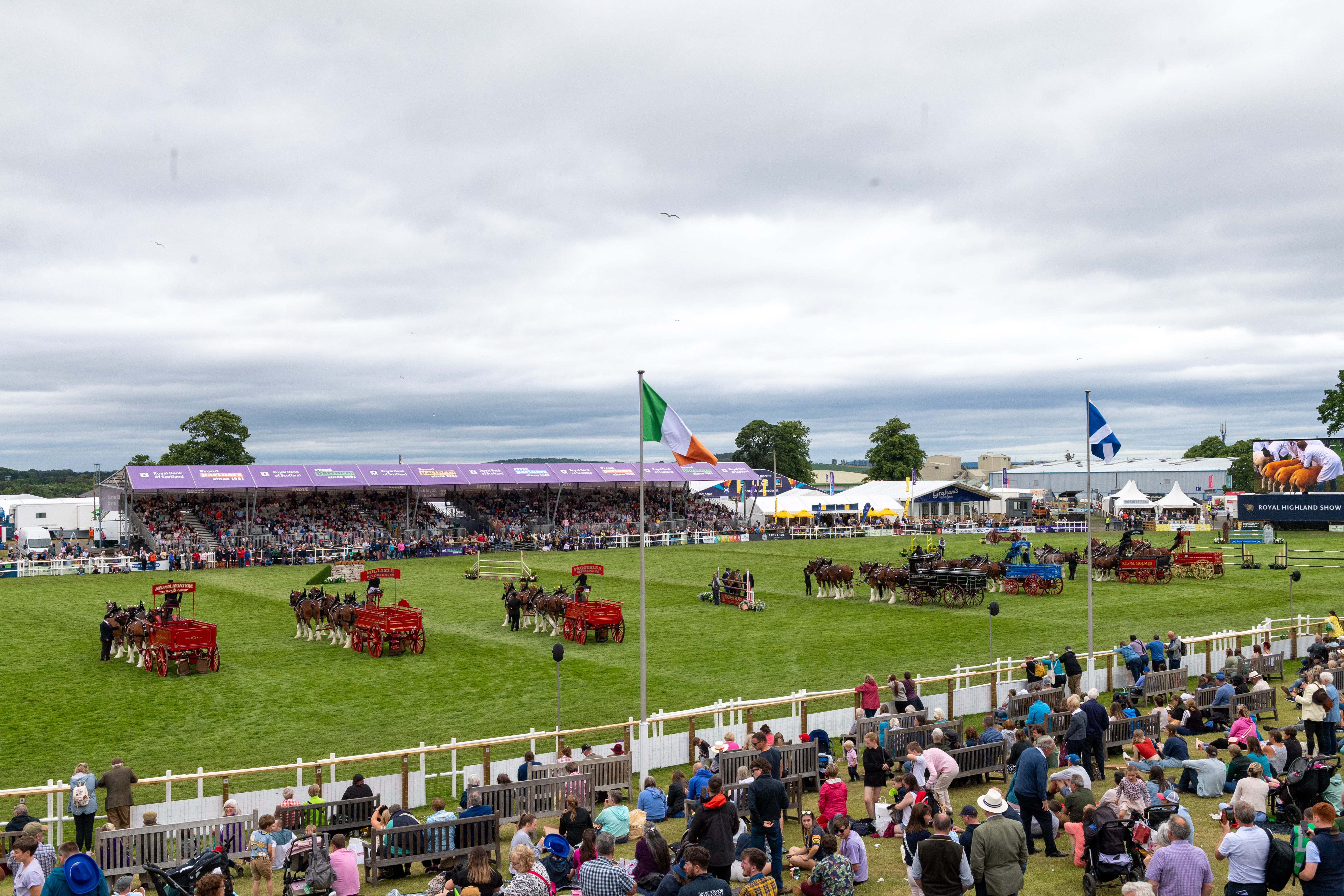 RHS076 03 Highlandponycelebration