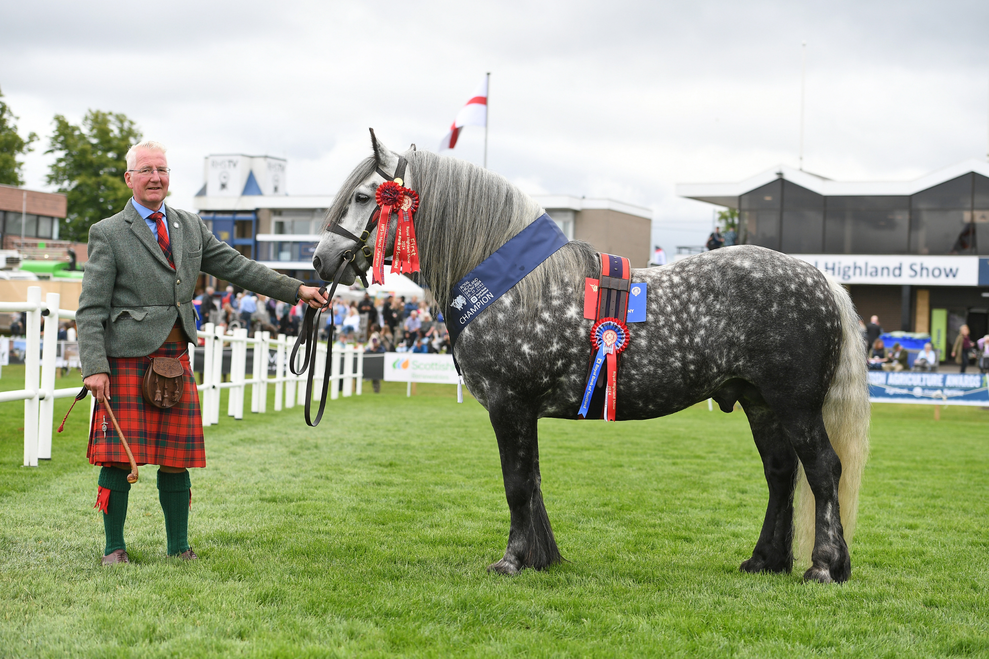 3 Male Highland Champion E53 3542