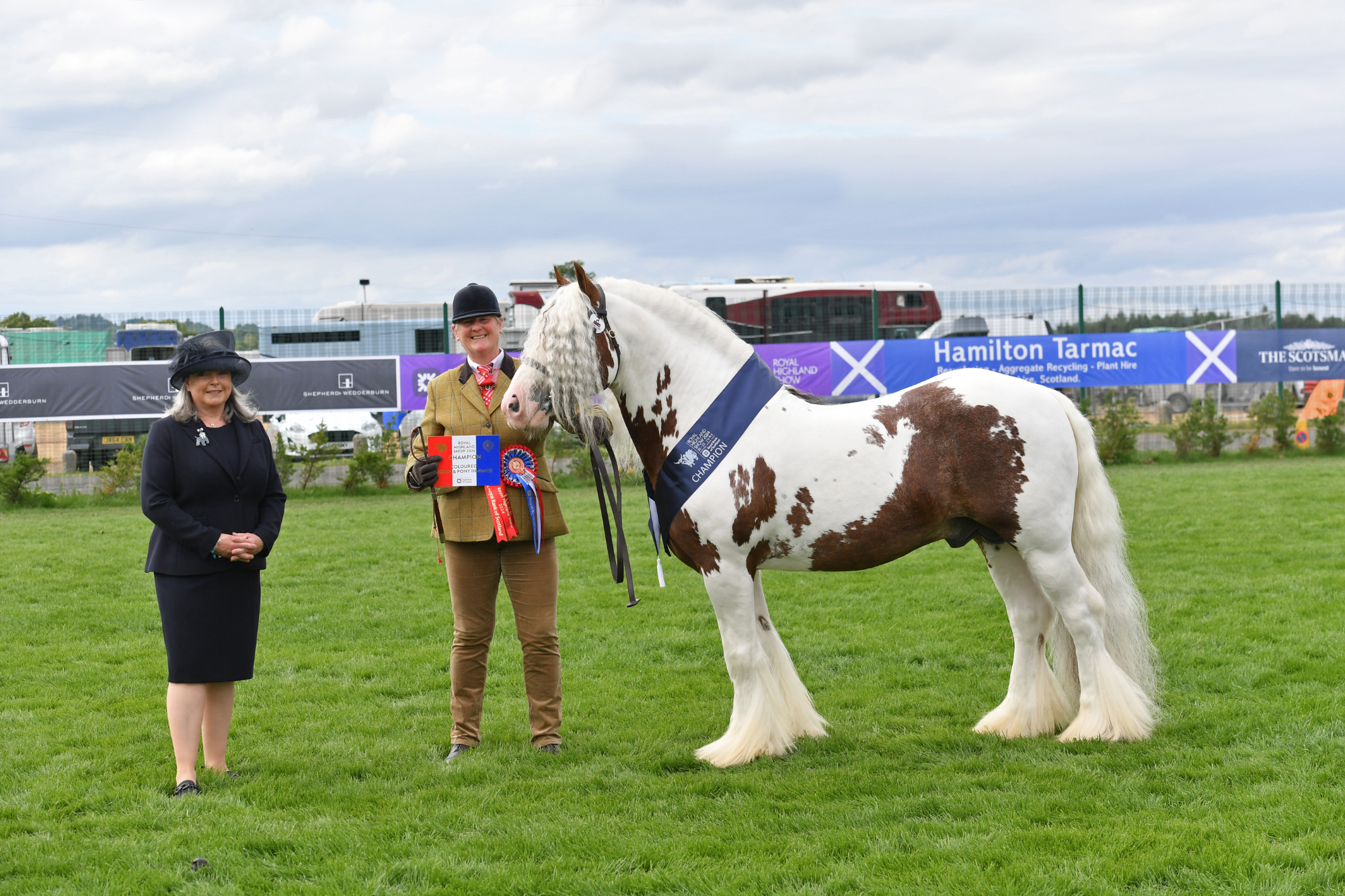 3 Coloured In Hand Champion A53 2721