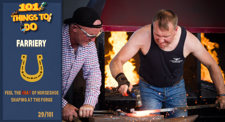 101 Things To Do At The Show Week 4! (768 X 418 Px) 7