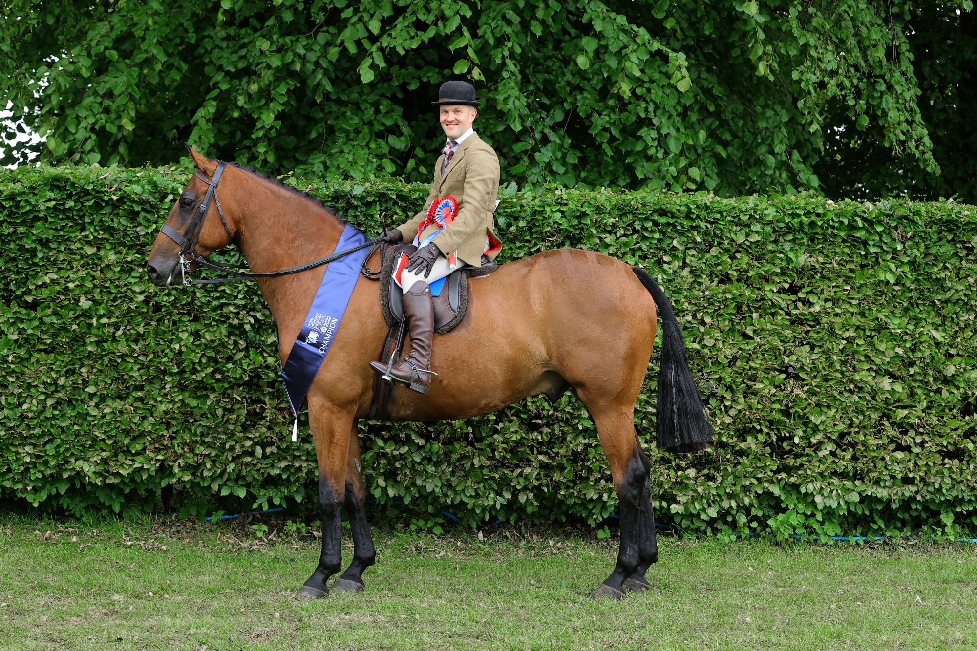 17 Ridden Hunter Champion F53 0919