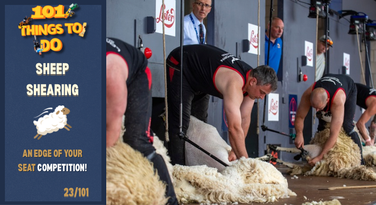 101 Things To Do At The Show Week 4! (768 X 418 Px) 1