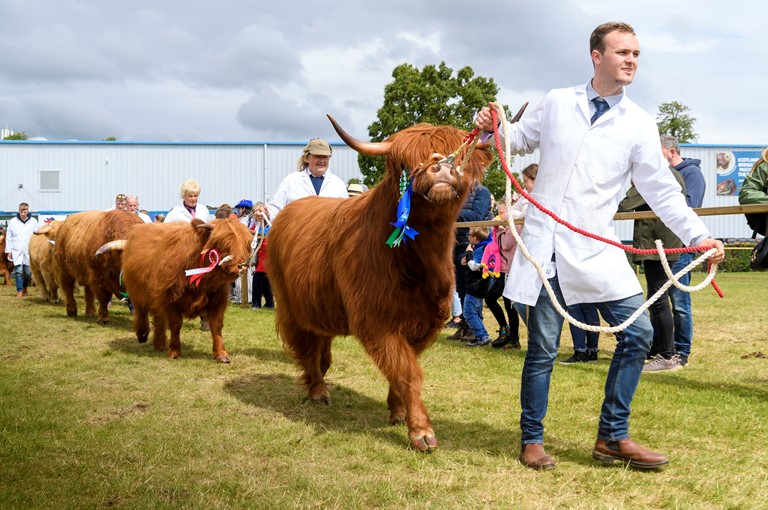 Bigger than Hogmanay! Independent report finds Royal Highland Show contributes more to Edinburgh economy