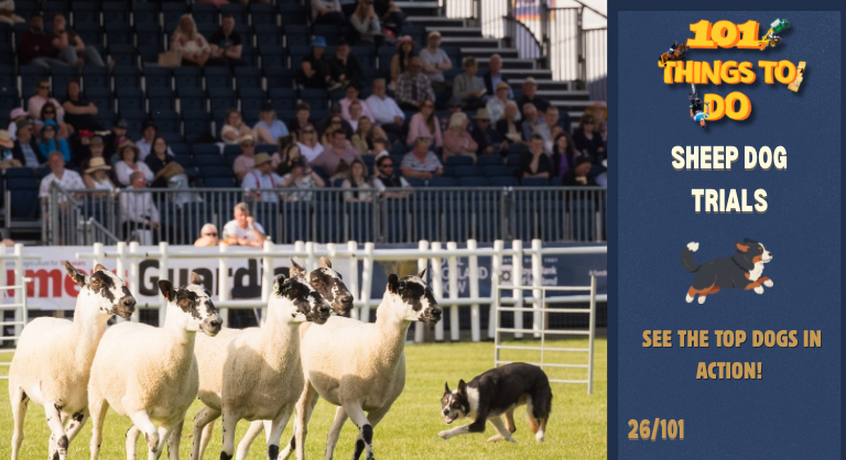 101 Things To Do At The Show Week 4! (768 X 418 Px) 4