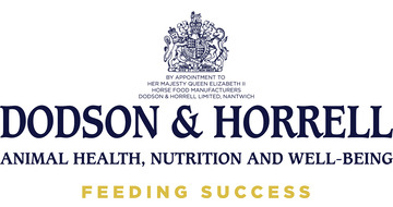 DH Primarylogo 2020 RGB