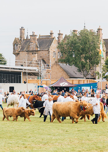 Sunday Royal Highland Show 2019 96