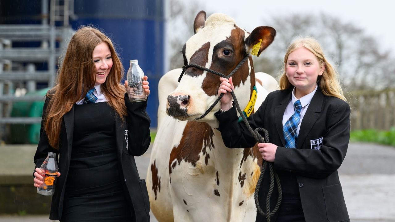 L R Niamh Brown And Evie Wright Help With Launch The RHS School's Competition With Cow Aladdin Rae