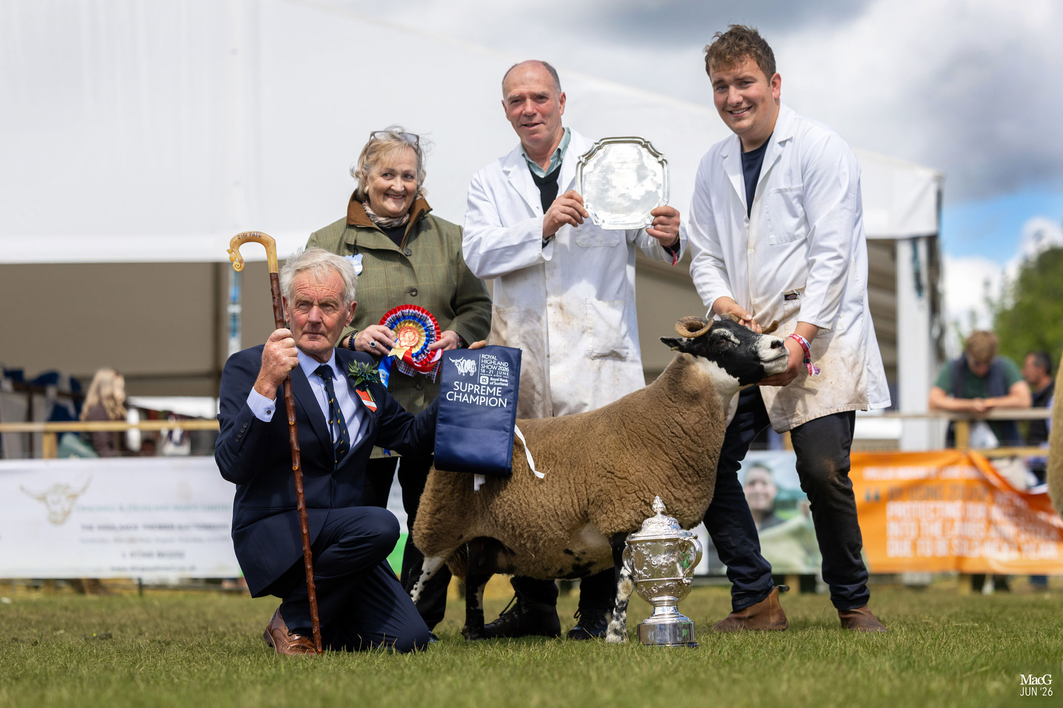 Overall Sheep Interbreed 5795