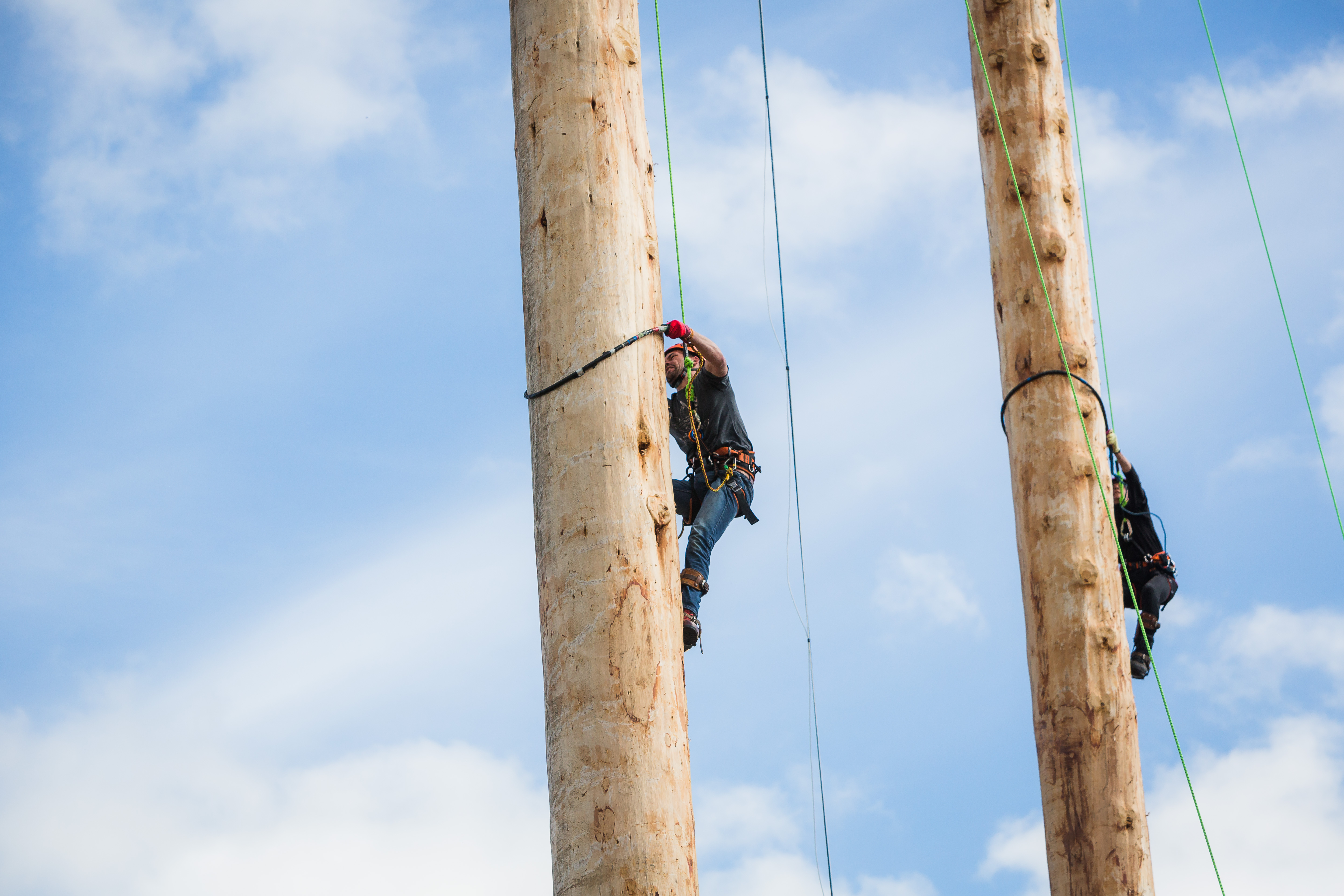 Royal Highland Show 173 (1)