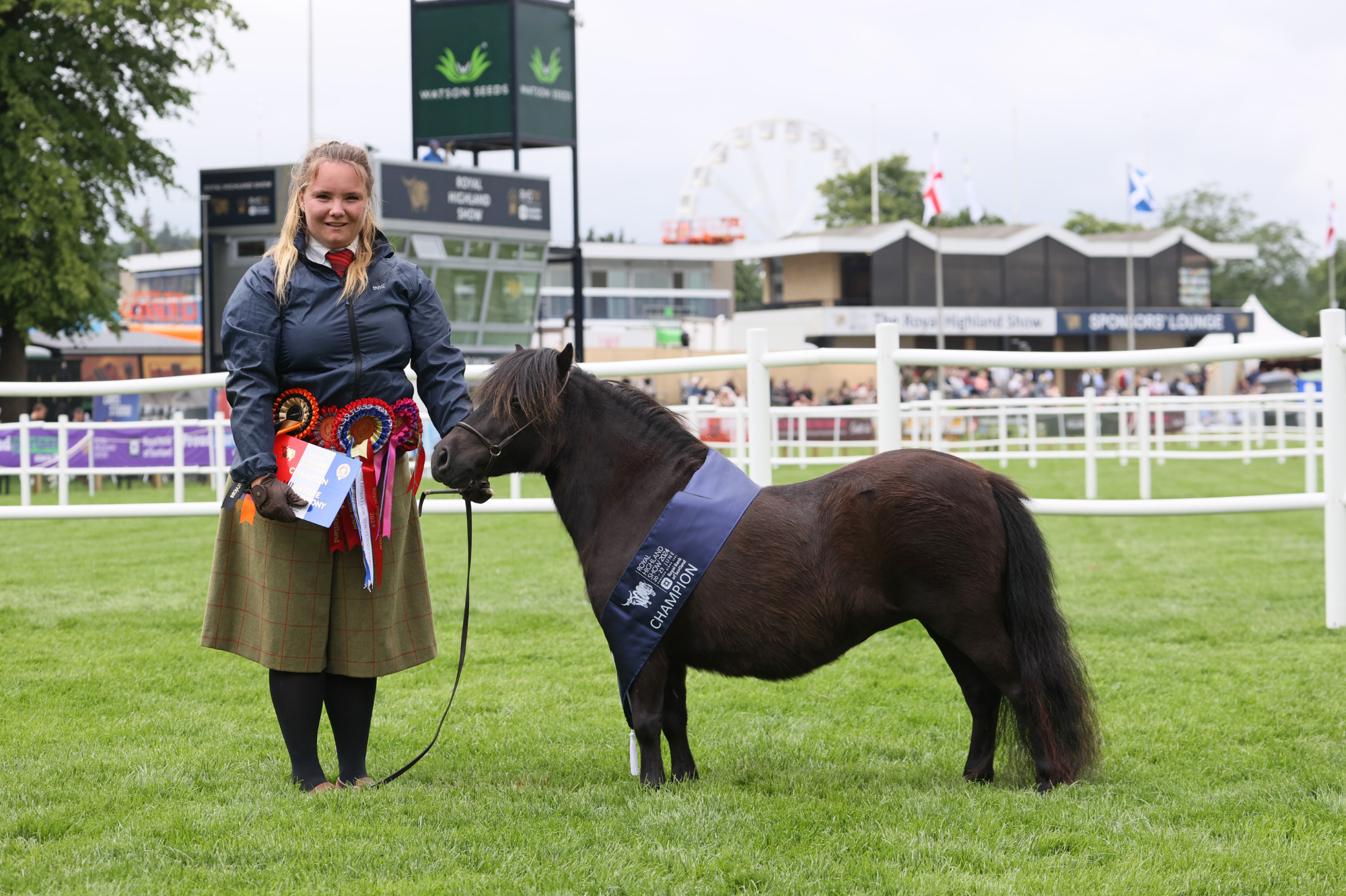4 Miniature Shetland Champion