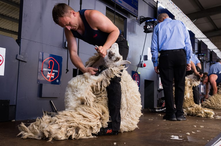 Sheep Shearing and Woolhandling Results