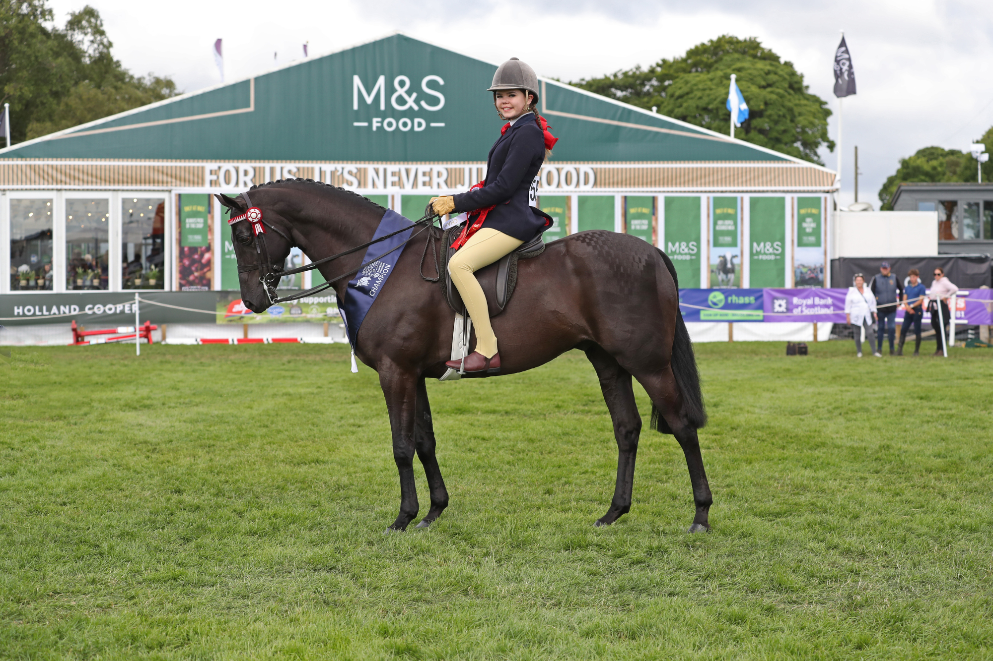 20 Show Pony Champion M55 3712