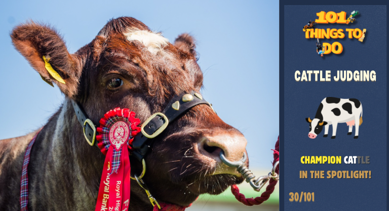 101 Things To Do At The Show Week 4! (768 X 418 Px) 8