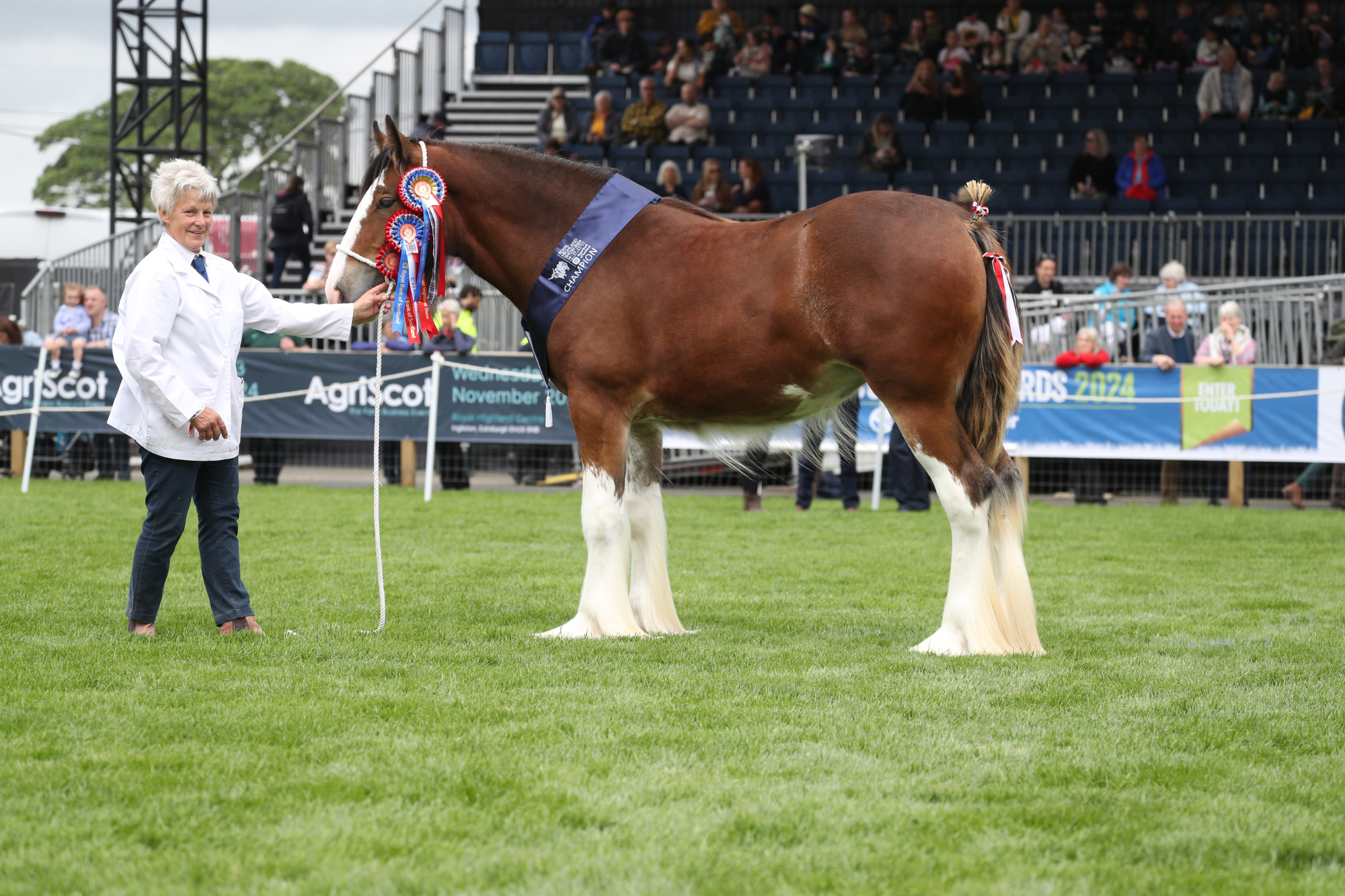 5 Overall & Female Clydesdale Champion